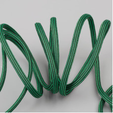 Паракорд Guardian Paracord 550 Type III Green stripes